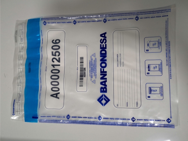 Bank Security Bags
